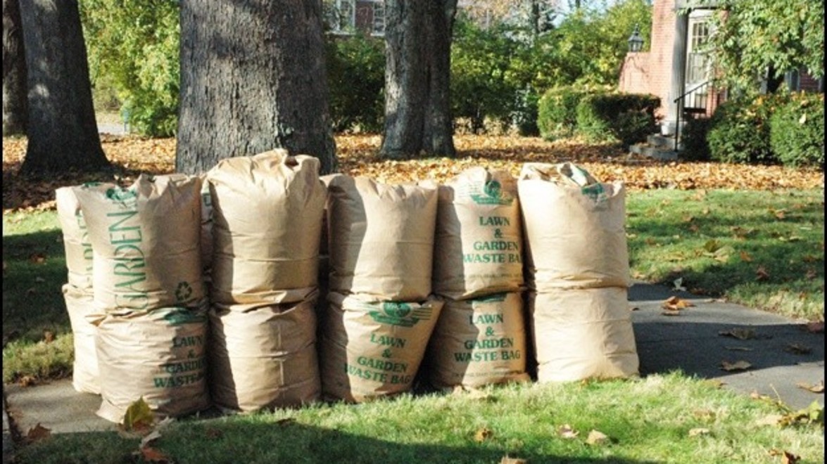 Litter Clean Up for Guelph & Waterdown Branch Customers