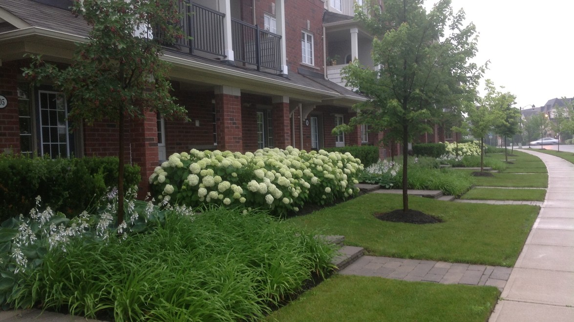 A condo that chose to enhance the curb appeal with professional landscaping