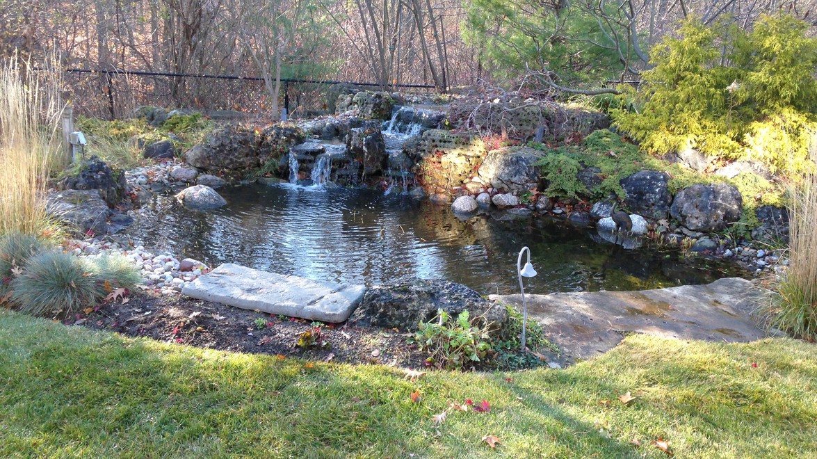 Pond Spring Start Up