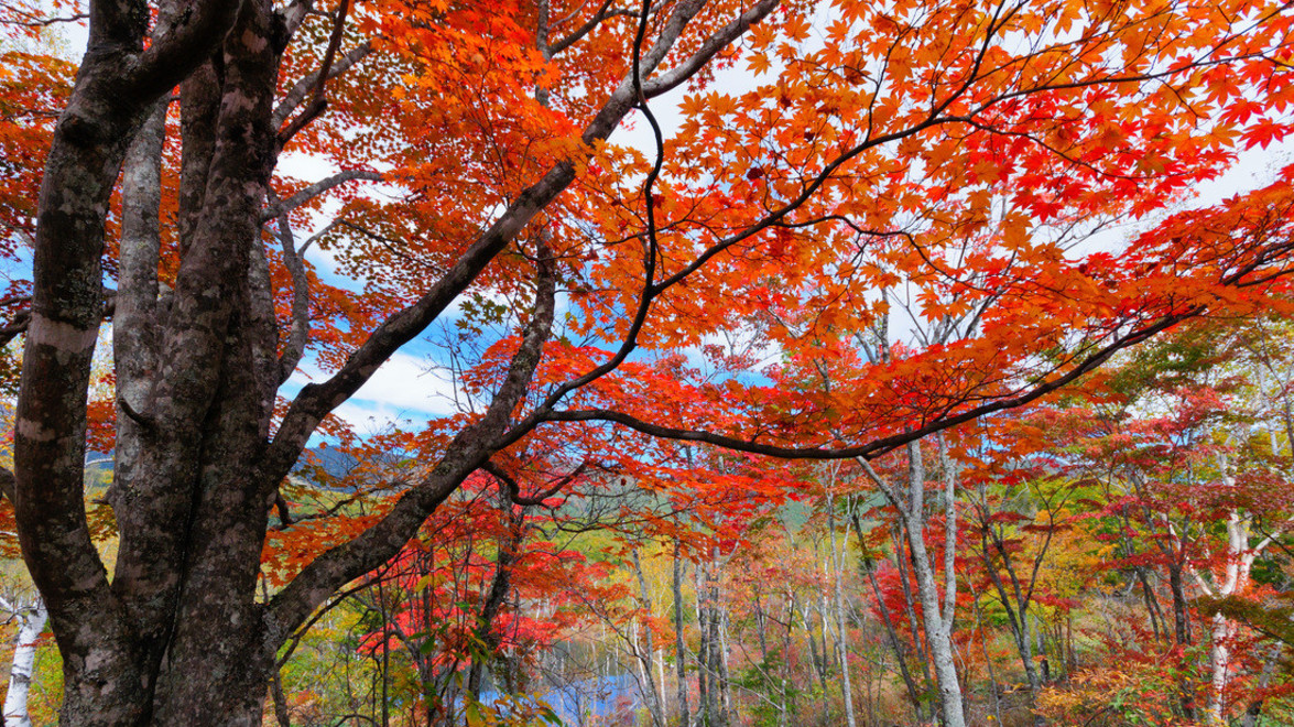 Preparing your Property for Fall