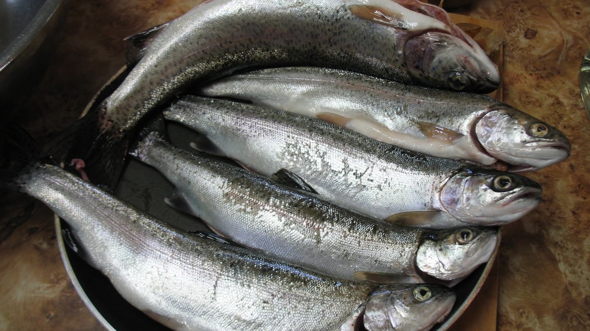 Heart Healthy Traditional Pan Fried Trout