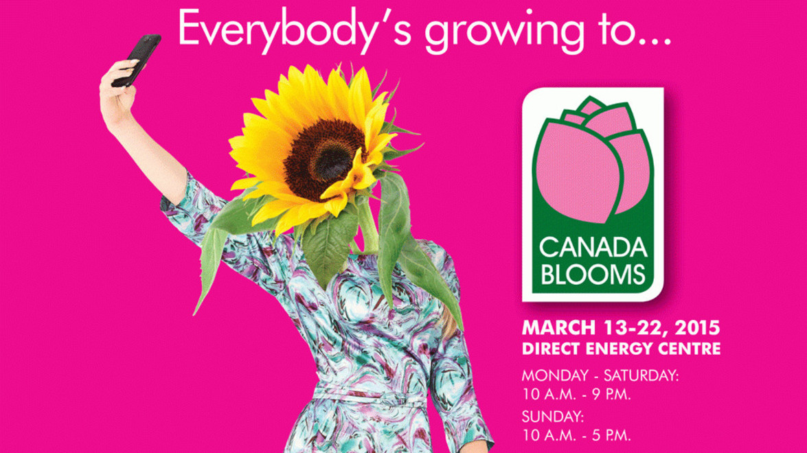 Let’s Play at Canada Blooms!