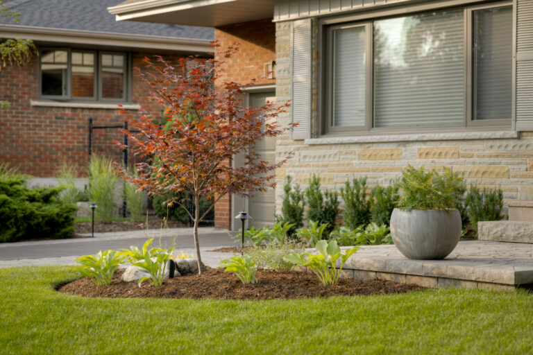 A modern house exterior with a small landscaped garden featuring a young tree, potted plant, and surrounding lush greenery on a well-manicured lawn.