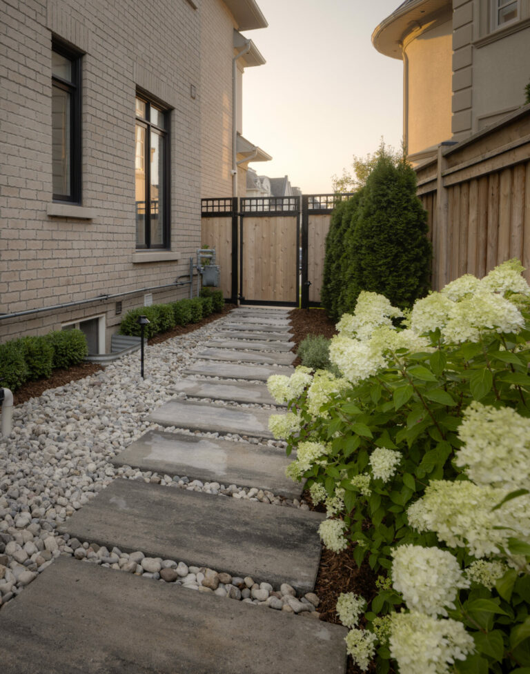 A narrow garden path with stone slabs, surrounded by white flowers and greenery, leads to a wooden gate between two residential buildings.